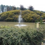 aanleg vijver